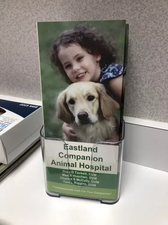 Eastland Companion Animal Hospital, Illinois, Bloomington